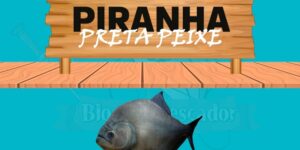 piranha preta peixe