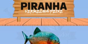 piranha vermelha peixe