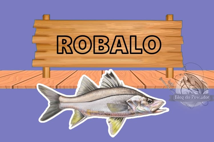 robalo peixe