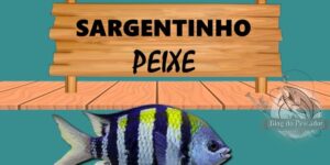 sargentinho peixe