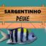 sargentinho peixe
