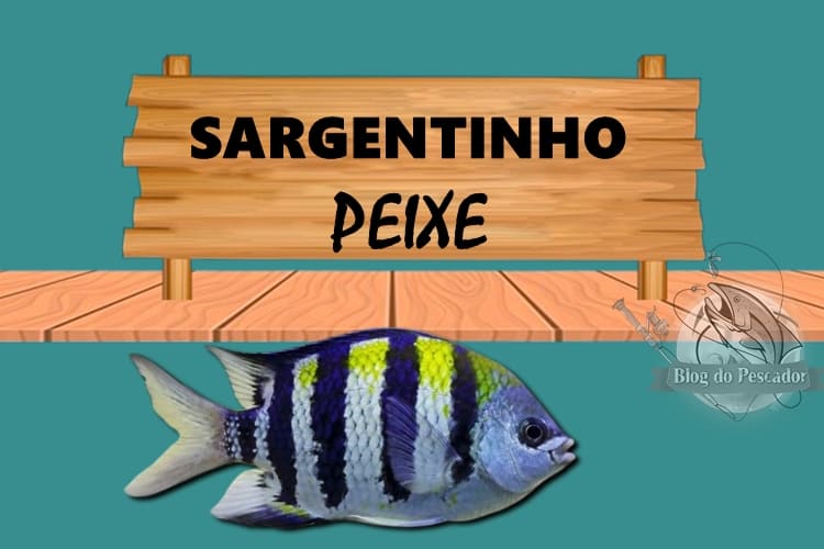 sargentinho peixe