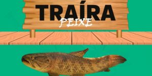 traira peixe