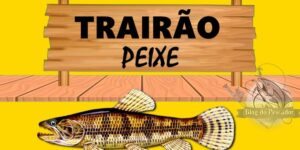 Trairão peixe