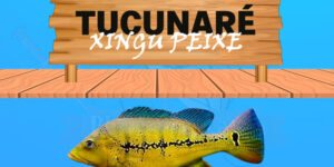 tucunare xingu peixe