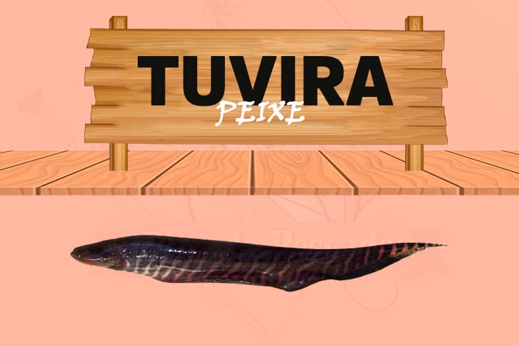 tuvira peixe