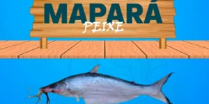 mapara peixe