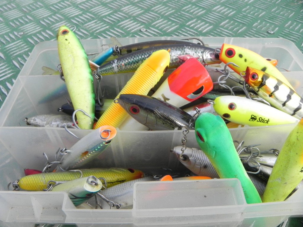 equipamentos indicados para pescar tucunare