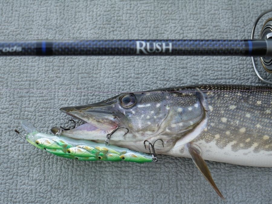 equipamentos utilizados nas pesca do peixe lucio