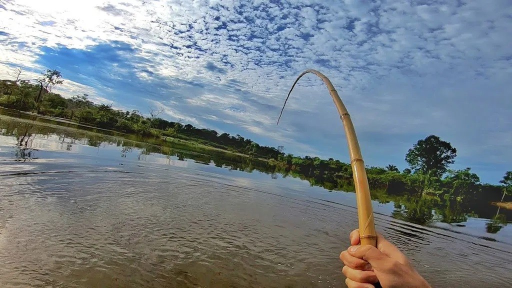 aprenda como escolher a vara para pesca