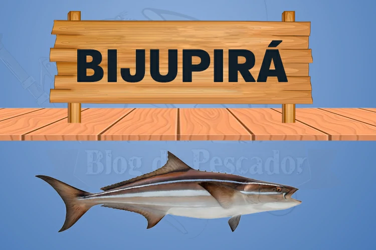 bijupira