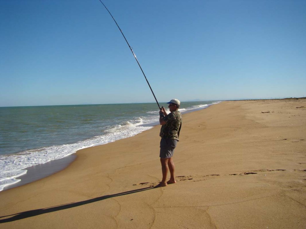 dicas de pesca na praia