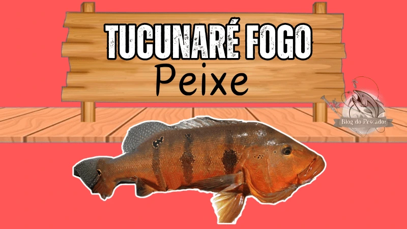 Tucunaré fogo peixe