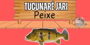 tucunaré jari