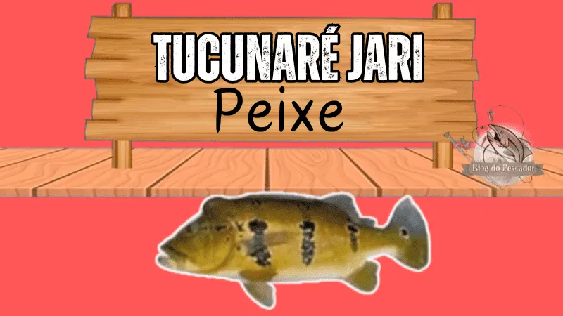 tucunaré jari