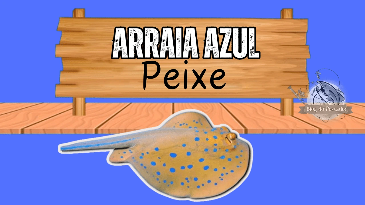 arraia azul