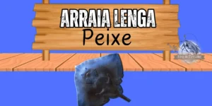 Arraia Lenga