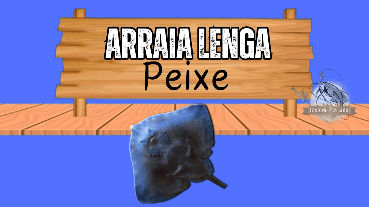 Arraia Lenga