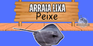 Arraia lixa