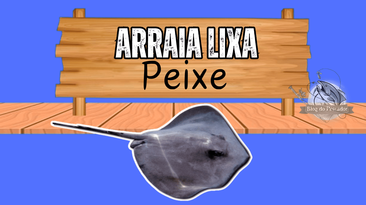 Arraia lixa