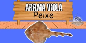 Arraia viola