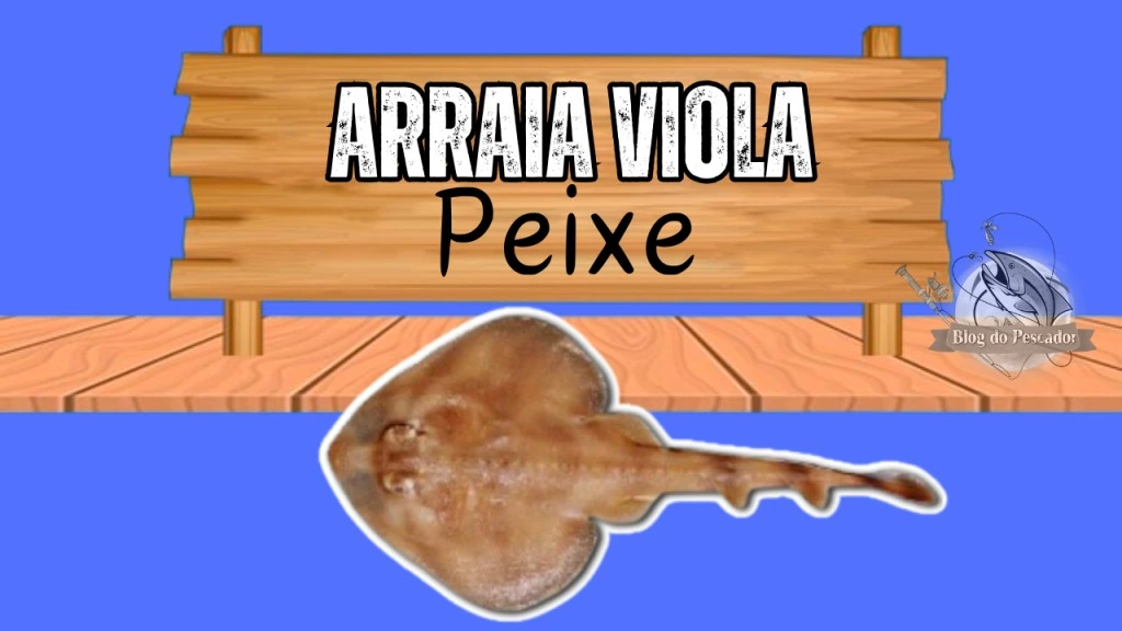 Arraia viola