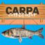 carpa cabecuda