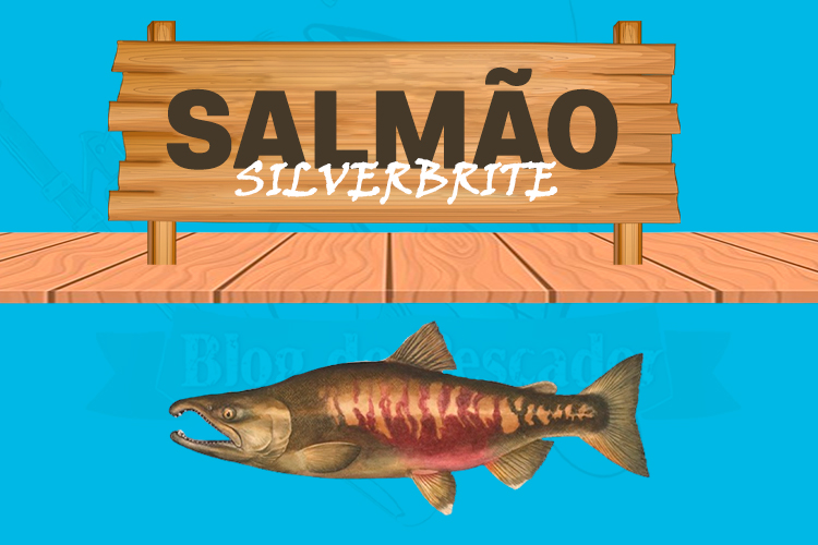 salmao silverbrite