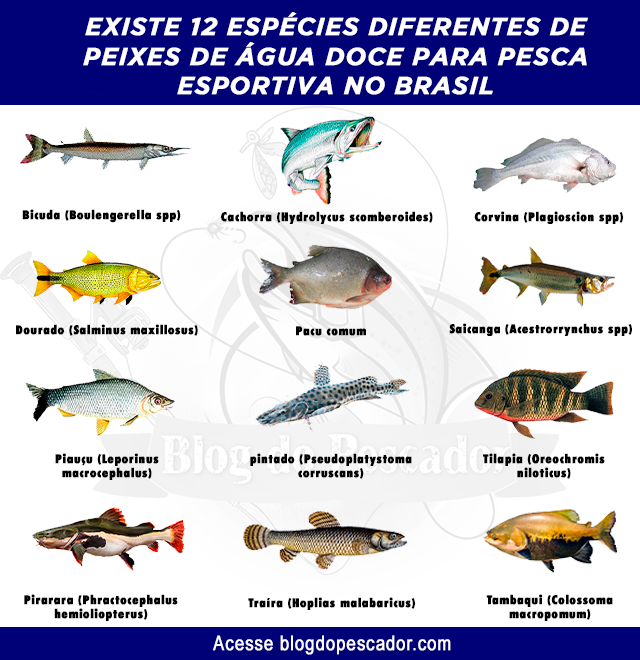 tipos de peixes de agua doce para pesca esportiva