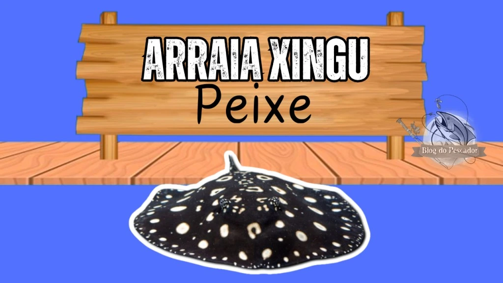 Arraia xingu peixe