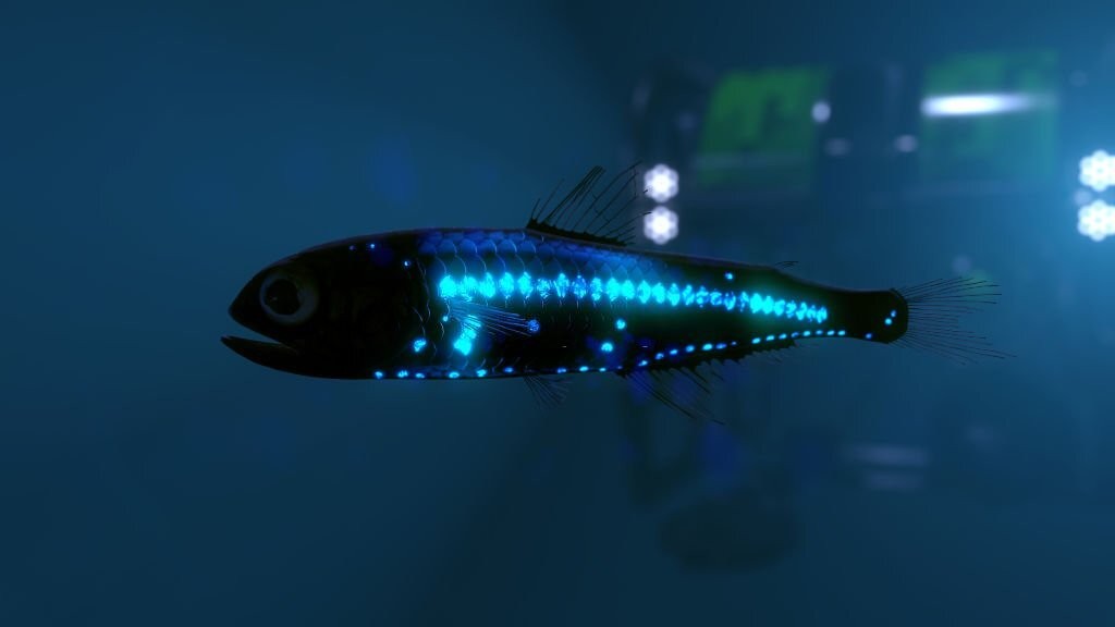características do peixe lanterna
