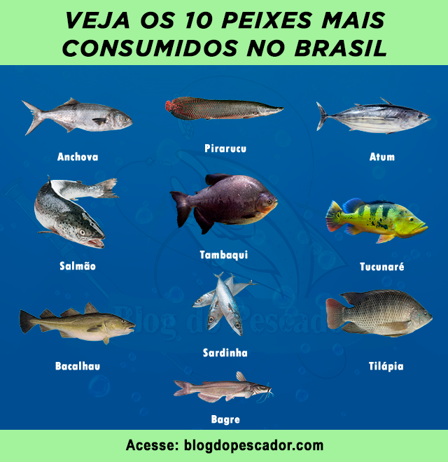 peixes mais consumidos no Brasil