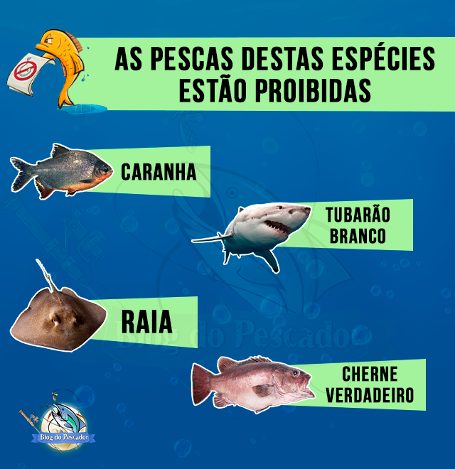 pesca proibida de certas espécies de peixes