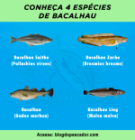 4 Tipos de bacalhau mais conhecidos no Brasil | Blog do Pescador