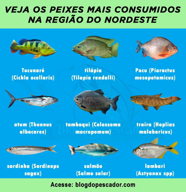 peixes mais consumidos na regiao do Nordeste