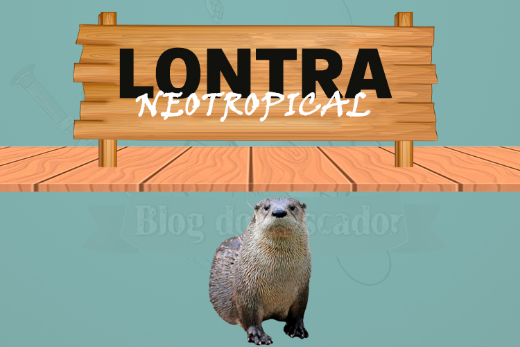 lontra neotropical