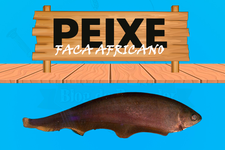 peixe faca africano