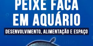 criação de Peixe faca em aquario