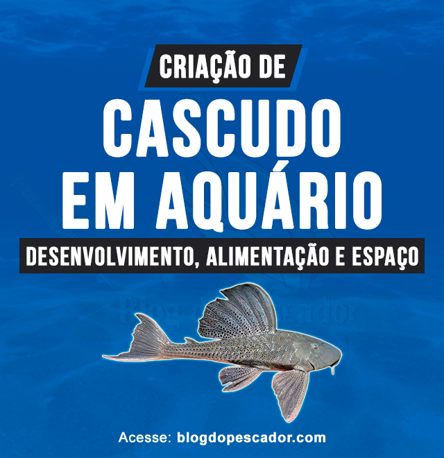 criacao de cascudo em aquario