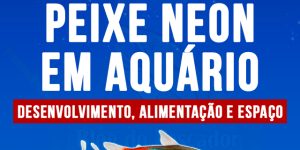 criacao de peixe neon em aquario