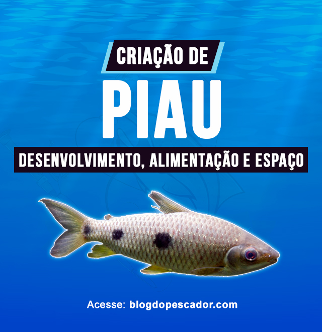 criacao de piau