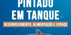 criacao de pintado em tanque