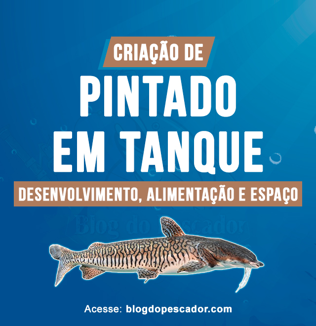 criacao de pintado em tanque