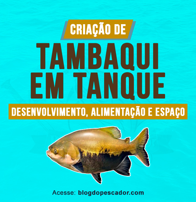 criacao de tambaqui em tanque