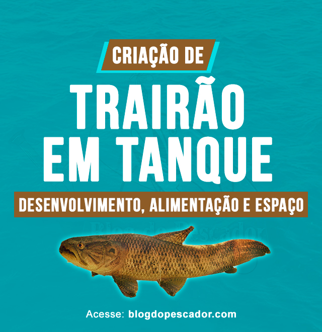 criacao de trairao em tanque