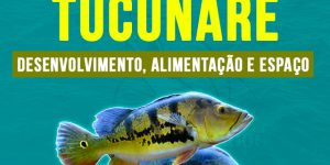 criacao de tucunare