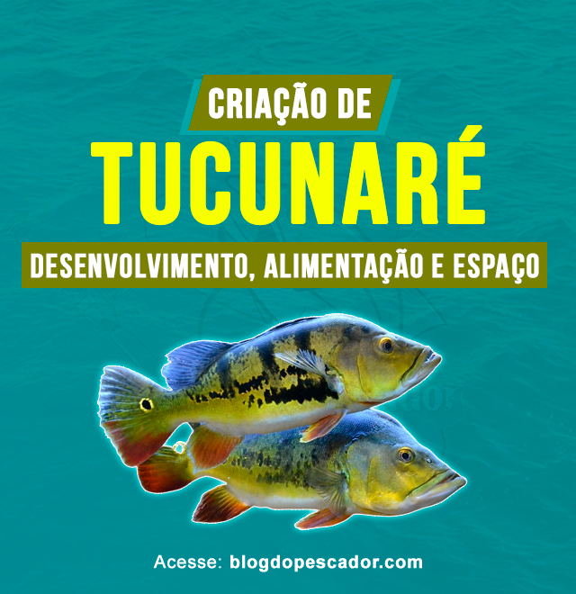 criacao de tucunare