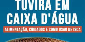 criacao de tuvira em caixa d'agua