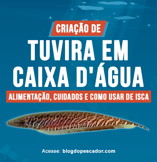 criacao de tuvira em caixa d'agua