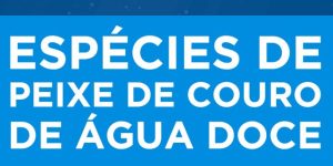 tipos de peixes de couro de agua doce